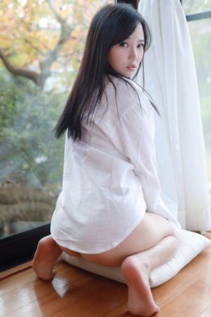 理论电影在线播放